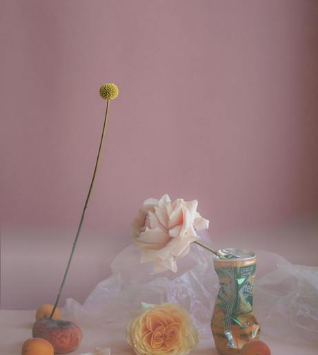 Constitution Can Overview