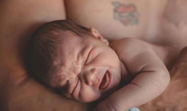 Supremacy of the Constitution