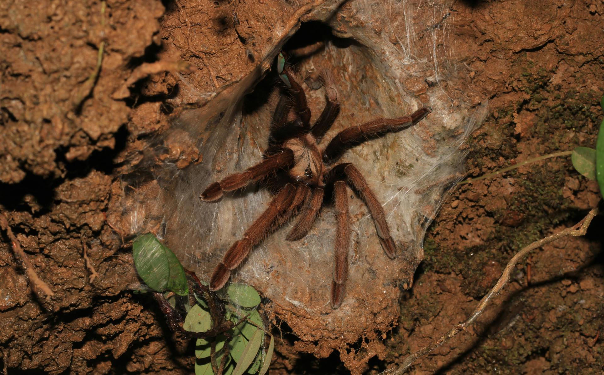 Right to Education and Work