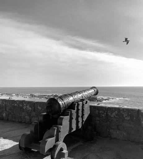 Constitution protection overview