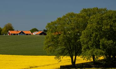 Registration and eligibility