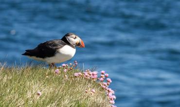 Proportional Representation