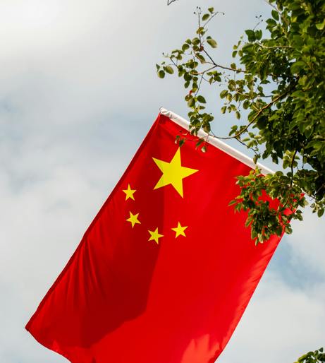 Branches of Government Overview