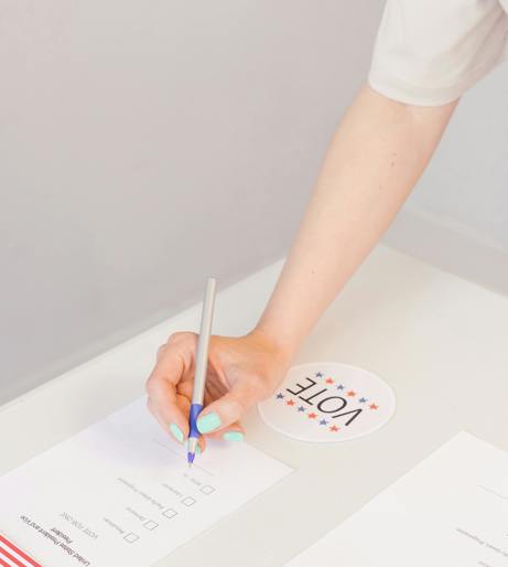 Government Check overview