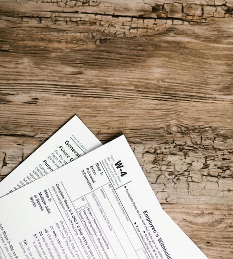 Government employment overview