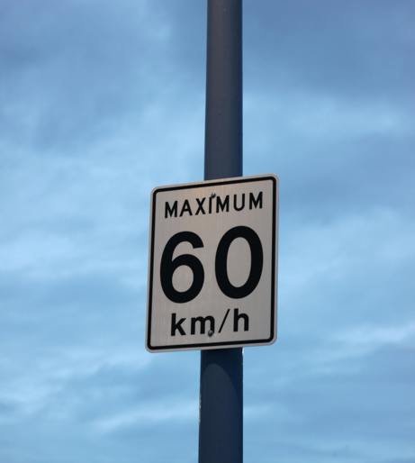 Government limited overview