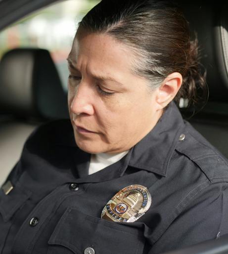 Government role overview