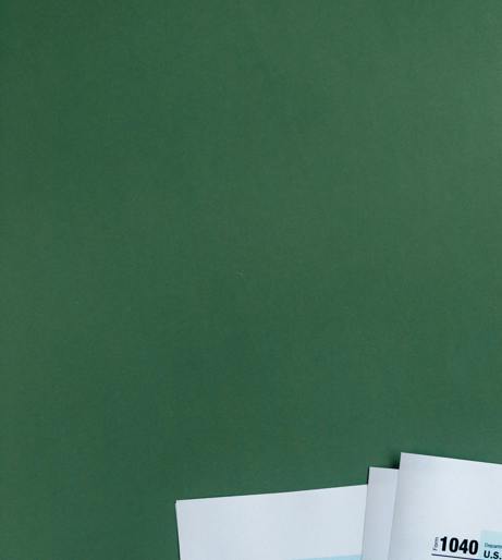 Government Tax Overview