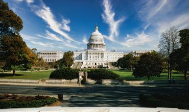 Federal & Regional Legislatures