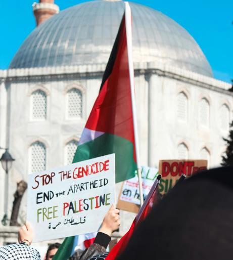 Political Affect Overview