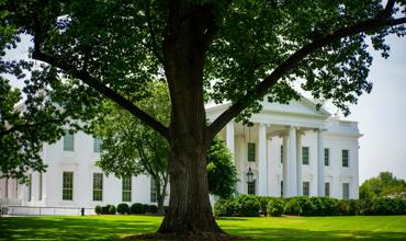 Ineffective Leadership