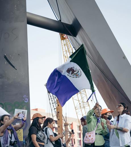 Political Revolution Overview