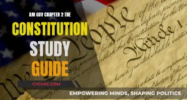 The Constitution: A Study Guide for American Government