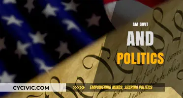 Understanding American Government and Politics: Key Concepts and Current Issues