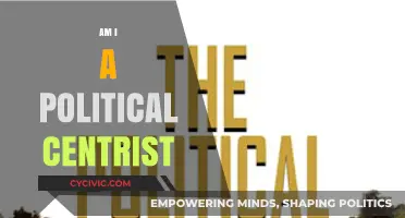 Am I a Political Centrist? Exploring Middle-Ground Ideologies and Beliefs