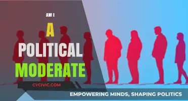 Am I a Political Moderate? Navigating the Spectrum of Beliefs