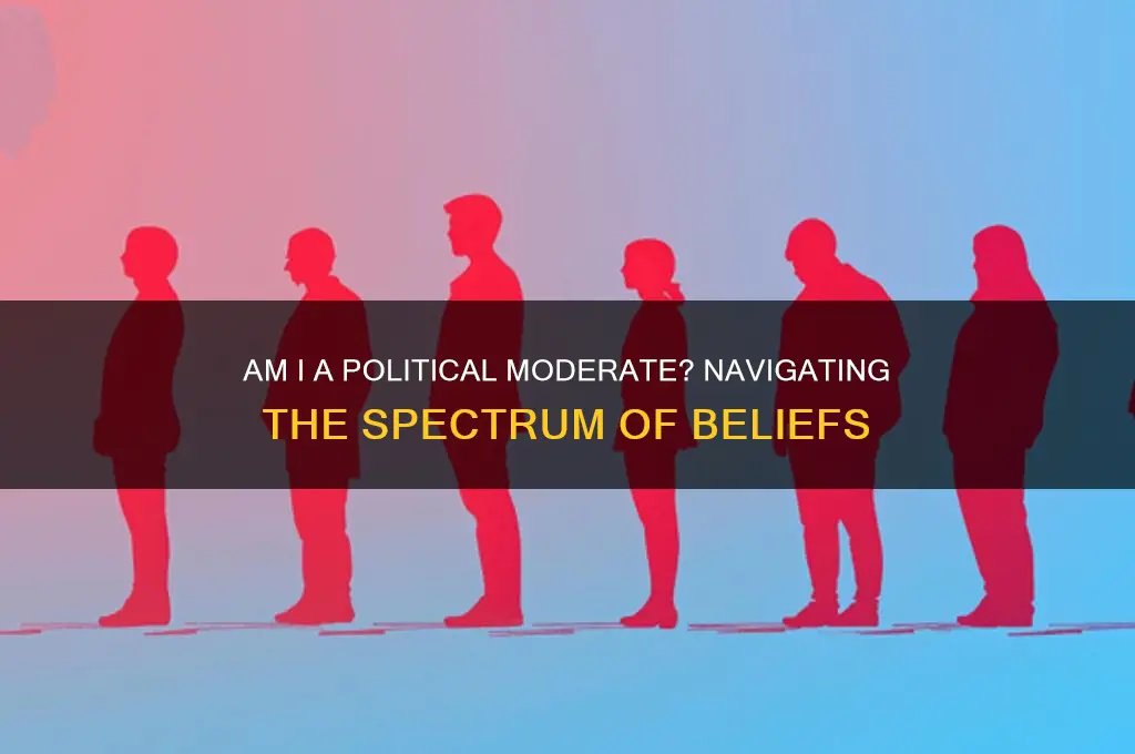 am i a political moderate