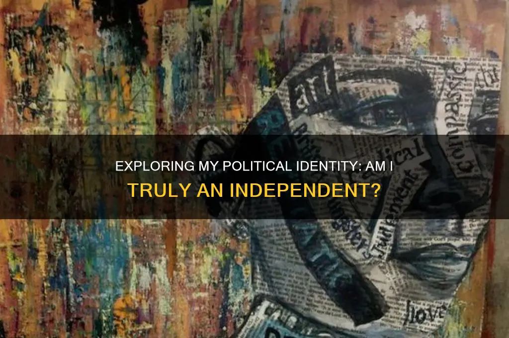 am i an independent political
