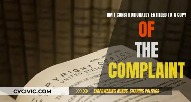 Your Right to Access: Complaint Copies and You