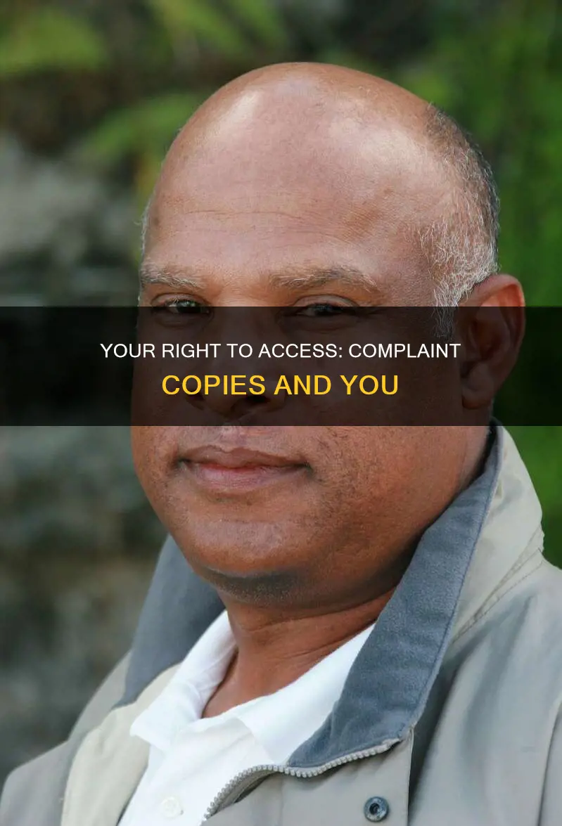 am i constitutionally entitled to a copy of the complaint