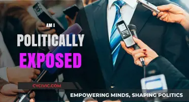 Understanding Political Exposure: Are You a Politically Exposed Person?