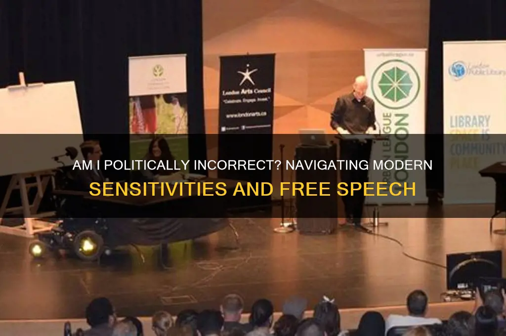 am i politically incorrect