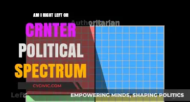 Navigating the Political Compass: Am I Right, Left, or Center?