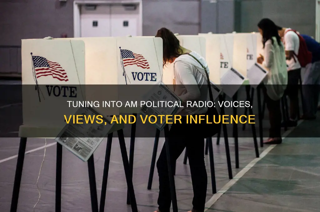 am political radio stations