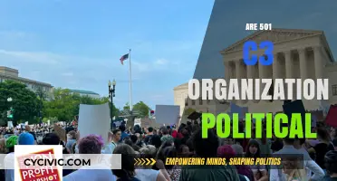 Can 501(c)(3) Nonprofits Engage in Political Activities? Exploring the Limits