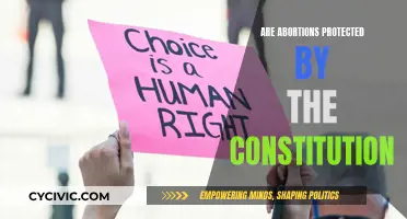 The Constitution and Abortion: What's the Legal Standing?