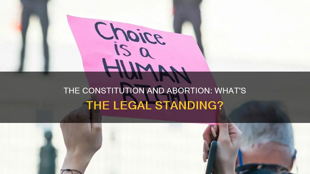are abortions protected by the constitution