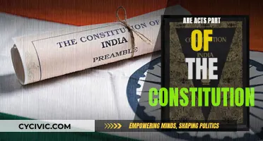 Exploring India's Constitution: Are Acts Part of It?