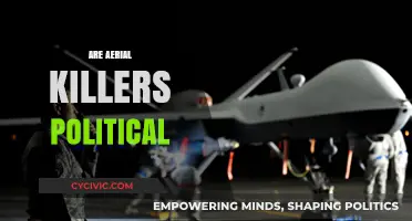 Are Aerial Killers Politically Motivated? Analyzing Drone Warfare's Political Implications