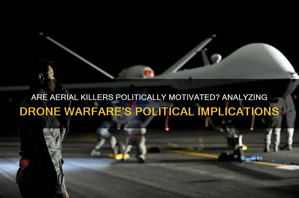 are aerial killers political