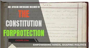 African Americans: Protected by the Constitution?