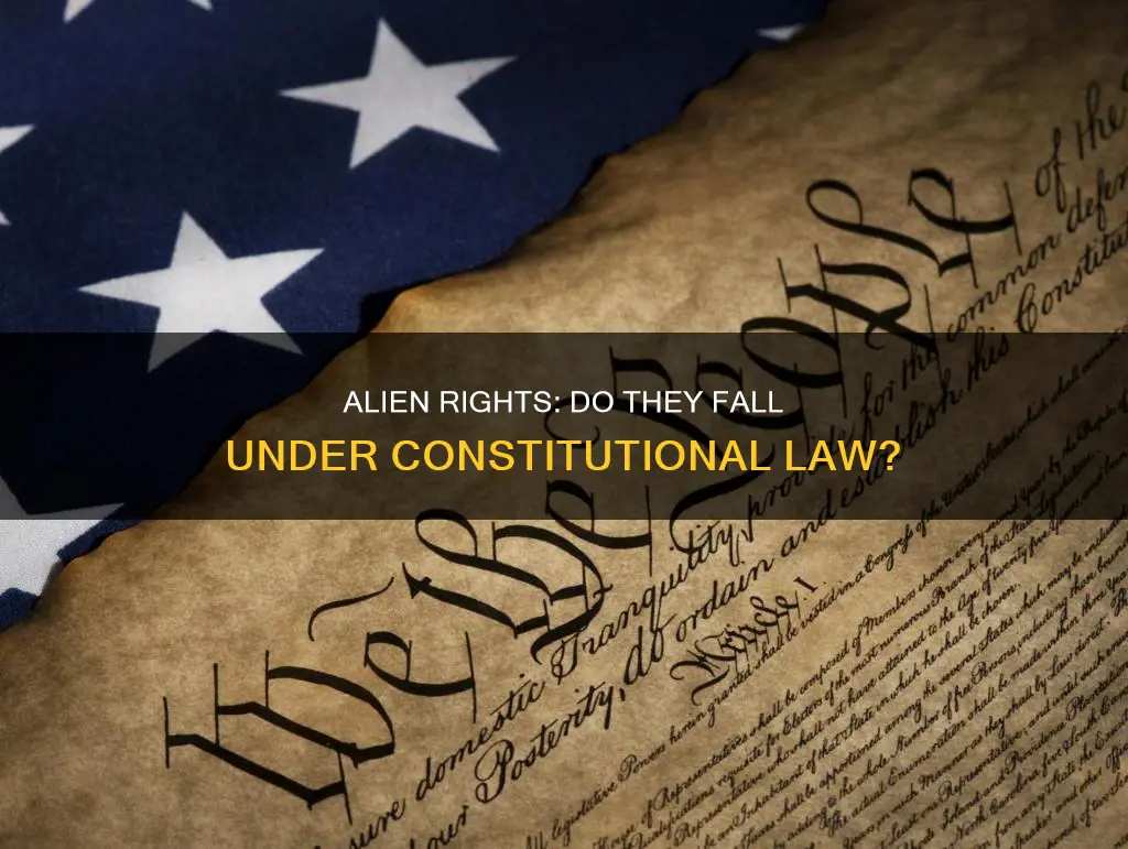are aliens protected by the constitution