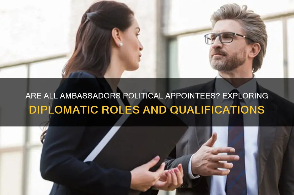 are all ambassators political appiontes