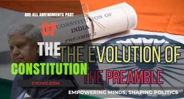 Amendments: Understanding the Constitution's Evolution