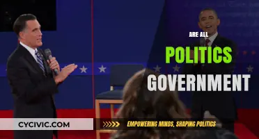 Are All Politics Government? Exploring the Broader Scope of Political Influence
