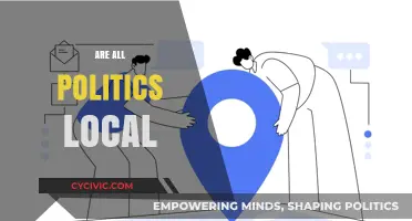 Are All Politics Local? Exploring the Impact of Local Issues on National Politics