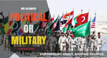 Alliances: Political Foundations or Military Strategies? Exploring Their Dual Nature