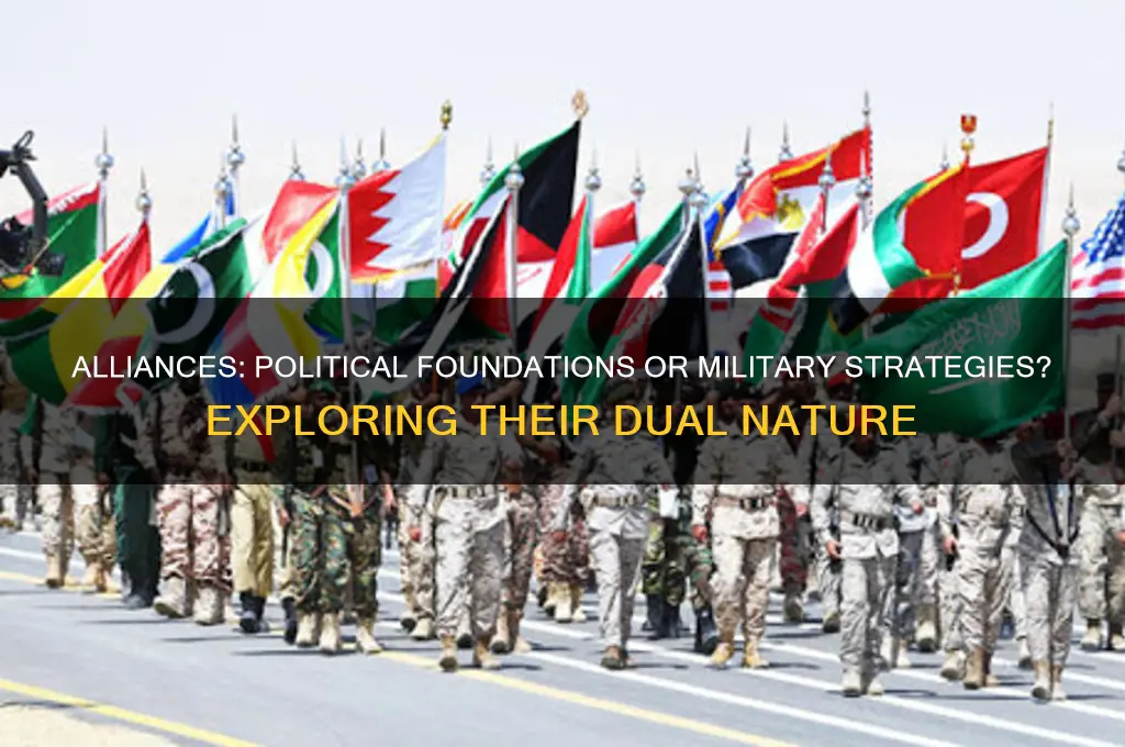 are alliances political or military