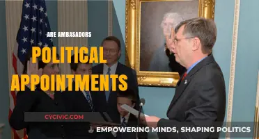 Are Ambassadors Political Appointments? Unveiling Diplomatic Selection Criteria