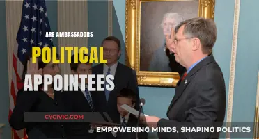 Ambassadors: Political Appointments or Career Diplomats? Exploring the Truth