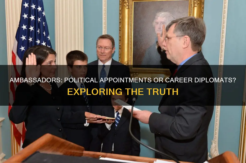 are ambassadors political appointees