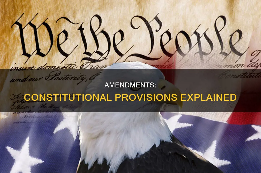 are amendments constitutional provisions
