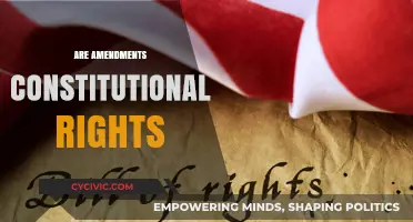 Amendments: Our Evolving Constitutional Rights
