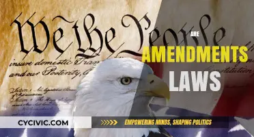 Amendments and Laws: What's the Connection?