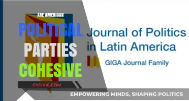 Are American Political Parties Cohesive? Examining Unity and Division in Politics