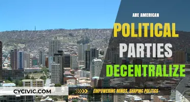 Are American Political Parties Truly Decentralized? Exploring Power Dynamics